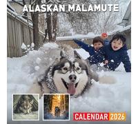 Alaskan Malamute Calendar 2026: Powerful and Loyal Malamutes in Action Shots