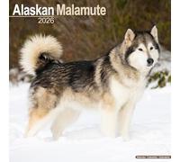 Alaskan Malamute Calendar 2026 Square Dog Breed Wall Calendar - 16 Month