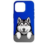 Alaskan Malamute Divertido Peeking Pocket Puppy Dog Lover Carcasa para iPhone 16 Pro