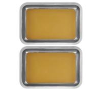 Alasum 2 Piezas Bandeja de Disección Escolar de Acero Inoxidable con Revestimiento de Cera, Bordes Lisos y Diagrama Claro para Experimentos de Biología en Aulas Educativas