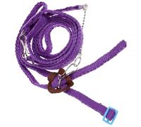 Alasum Arnés Ajustable de Nylon con Correa para Reptiles y Lagartos Pequeños Longitud Total Paseo Seguro al Aire Color Aleatorio
