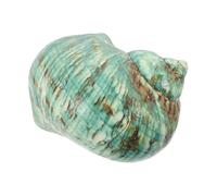 Alasum Conchas Marinas Naturales de Caracol Grande Verde para Decoración de Acuarios Artesanía Temática Oceánica Material Relleno para Peceras y Manualidades