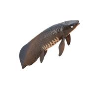 Alasum Modelo de Animal Marino Pirarucú de Plástico Sólido, Juguete Educativo Cognitivo, Figura Realista de 20 Cm para Colección y Decoración de Animales Marinos
