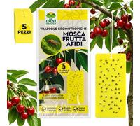 Albagarden - Trampa cromotrópica Amarilla para Mosca de la Fruta - Adhesivo de Doble Fuerza - Paneles atrapa Insectos, trampas Anti Insectos x 5 Unidades