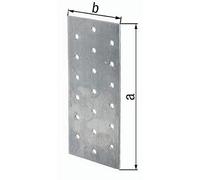 Alberts 028894 332020 Placa Perforada, 200 x 100 mm, Sendzimir galvanizado