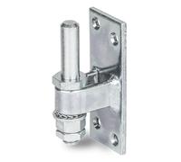 Alberts 311131 Gozne para atornillar, Ajustable, Galvanizado, pasivado con capa gruesa, Ø del entre eje 13 mm, Pletina 100 x 40 mm