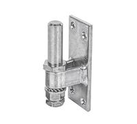 Alberts 311148 Gozne para atornillar, Ajustable, Galvanizado, pasivado con capa gruesa, Ø del entre eje 16 mm, Pletina 100 x 40 mm