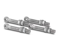 Alberts 410919 - Tornillo de ojo con accesorios, apto para cintas de puerta, galvanizado en caliente, rosca M16, longitud 130 mm, juego de 4 unidades