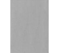 Alberts 466046 Chapa lisa, Aluminio, Aluminio, natural, 600 x 1000 x 0,8 mm
