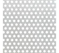 Alberts 466947 Chapa perforada, Perforación circular, Aluminio, anodizado plateado, 250 x 500 x 0,8 mm