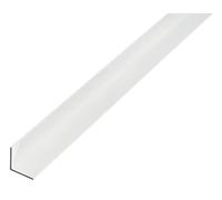 Alberts 470876 Perfil angular, Aluminio, anodizado plata, 1000 x 20 x 20 mm