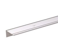 Alberts 490447 Perfil de protección para borde de escalón, Perforado, Aluminio, anodizado plateado, 1000 x 45 x 23 mm
