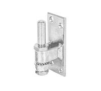 Alberts 858681 Gozne para atornillar, Ajustable, Galvanizado, pasivado con capa gruesa, Ø del entre eje 13 mm, Pletina 100 x 40 mm, Juego de 10