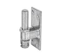Alberts 858698 Gozne para atornillar, Ajustable, Galvanizado, pasivado con capa gruesa, Ø del entre eje 16 mm, Pletina 100 x 40 mm, Juego de 10