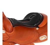 Albornoz Western (Ortho Pubis Western