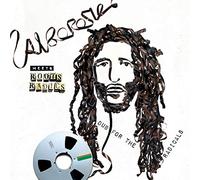 Alborosie - Alborosie Meets Roots Radics - Dub For The Radicals