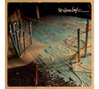 Album Leaf - Into The Blue Again