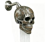 Alcachofa de ducha de lluvia, cabezal de ducha con forma de calavera como pieza de repuesto | cabezales de ducha de resina con diseño de calavera, adecuados para bañera, baño, casa, apartamento, hotel