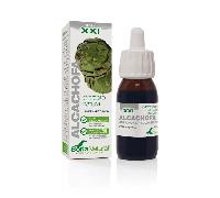 Soria Natural EXTRACTO NATURAL DE ALCACHOFA XXI 50ml