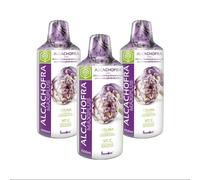 Alcachofa MaxiPlus Pack 3 x 1L Fharmonat