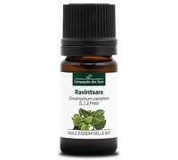 ALCANFOR - 5 mL - Aceite Esencial Orgánico de Calidad Superior - 100% Puro, Natural, Quimiotipado y Certificado AB