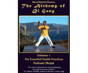 Alchemy of Qi Gong 1: Essential Health Practices [Reino Unido] [DVD]