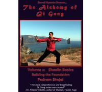 Alchemy of Qi Gong 2: Sholin Basics - Building the [Reino Unido] [DVD]