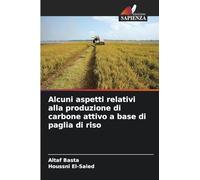 Alcuni aspetti relativi alla produzione di carbone attivo a base di paglia di riso