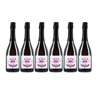 ALDEA 00 FRIZZANTE ROSADO - Espumoso sin alcohol -75cl (Pack 6 botellas 450 cl)