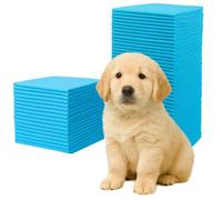 Ale-commerce 60x60 cm 300 Piezas Empapadores Higiénicos para Perros Cachorros 6 Capas Superabsorbentes Impermeables Secado Rápido Entrenamiento e Incontinencia