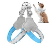 aleco para caminar de perros, arnés para el peo para perros | En de clips delantero en de Vest Reflective - Desgaste de mascotas contra el estrangulador, accesorios de entrenamiento de caminata de cao