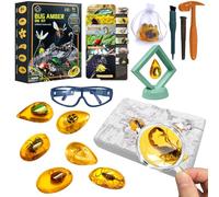 ALEENFOON Fósil de ámbar Kit de Excavación con Herramientas de Excavación y Páginas de Registro de Folletos, Kit de Ciencia de Fósiles con Anteojos y Marco de Exhibición