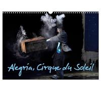 Alegria, Cirque du Soleil: Depuis avril 1994 à Montréal, Alegria a été vu par 10 000 spectateurs sur cinq continents.