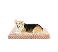 ALEjon Cama para Jaula de Perro, tamaño Mediano, Lavable, Alfombrillas para Jaula, Almohadilla Antideslizante de Felpa, cojín Suave para Perros medianos con Juguete de Hueso chirriante como Regalo