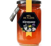 Alemany Miel Poliflora 500g