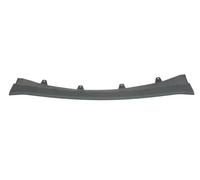 Alerón delante 5511-00-0096221P BLIC para BMW X5