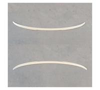 Alerón Techo Trasero Alerón Trasero Plástico ABS Negro para X6 G06 2020 2021 2022 2023-2024 Accesorios para Aleta Trasera. Spoiler(Blanco)