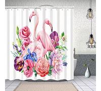 Alessandro Di Carlo - E' Robba Da Matti! [Italia] [DVD]