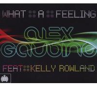 Alex Feat.Kelly Rowlan Gaudino - What a Feeling