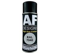 Alex Flittner Designs Barniz antioxidante 4 en 1 RAL 7040 gris ventana metal barniz protector aerosol pintura antioxidante