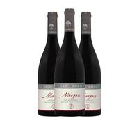 Alex Gambal Les Charmes Gamay Morgon 75 cl Vino tinto (Caja de 3 Botellas de 75 cl)