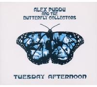 Alex Puddu & Butterfly Collectors - Tuesday Afternoon
