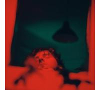 ALEXANDER BIGGS - STAY WITH THE HORSES [Vinilo]