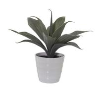 Alexandra House Living Planta Decorativa Plástico Aloe Vera 16 x 16 x 30 cm