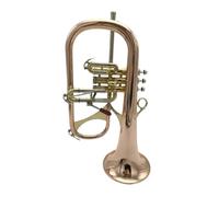 ALFAAL BB Oro Fósforo Cobre con Estuche Boquilla Trompetas Instrumentos Musicales