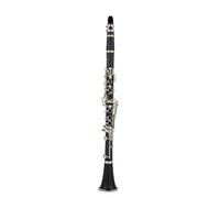 ALFAAL Clarinete SIB E13 Si Bemol Tune Instrumentos De Viento De Madera Profesionales Clarinete Tubo Negro con Accesorios De Caja