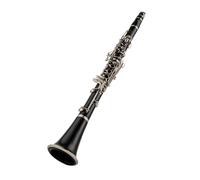 ALFAAL Clarinete SIB Si Bemol Tune Instrumentos De Viento De Madera Profesionales Clarinete Tubo Negro con Estuche Accesorios Amantes De La Música Principiantes