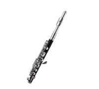 ALFAAL Flauta De Agujero Cerrado Flauta Chapada En Plata con Llave C Instrumento De Baquelita De Grado De Rendimiento Tubo ABS Instrumento para Principiantes