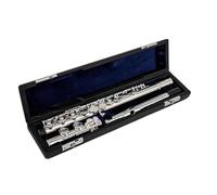 ALFAAL Flauta De Agujero Cerrado Flauta Profesional con Apertura De Cuproníquel, Llave C, Flauta De 16 Agujeros Instrumentos Musicales Chapados En Plata con Estuche Y Accesorios