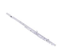 ALFAAL Flauta De Agujero Cerrado Instrumento De Viento para Principiantes Llave De Cobre Blanco Llave E Dividida Llave C Chapada En Plata 16 Hermosas Llaves con Orificio Cerrado